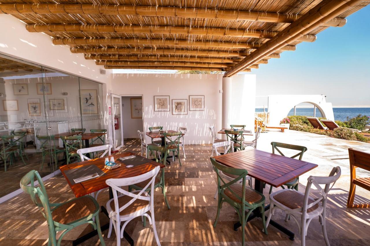 Atoq Paracas Reserva Exterior photo